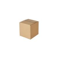 Cardboard box (1 liter)